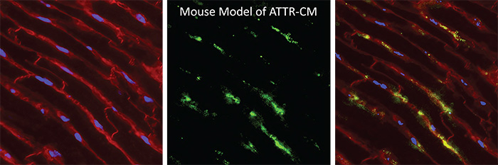 jin-lab-attr-700.jpg
